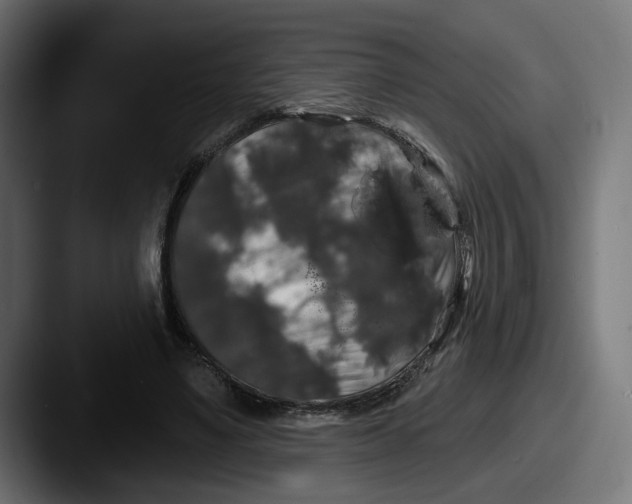 X0000087530491200705181033
