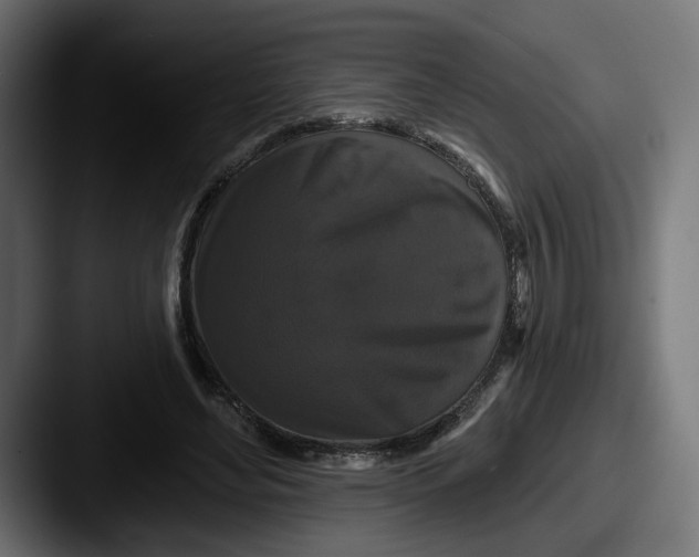 X0000087530492200705181033