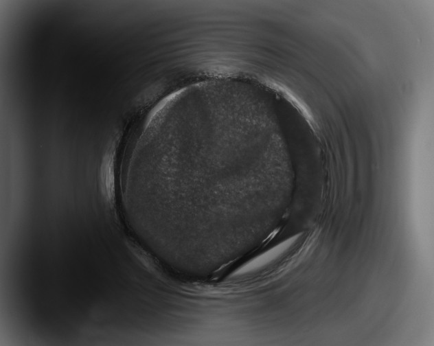 X0000087530493200705181033