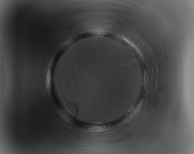 X0000087530494200705181033