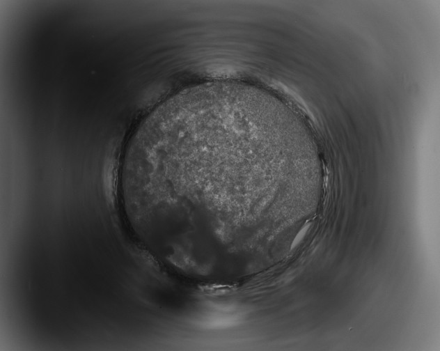 X0000087530495200705181033