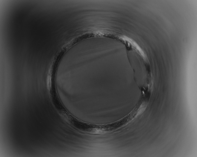 X0000087530496200705181033