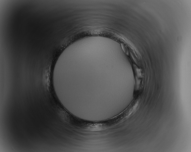 X0000087530497200705181033