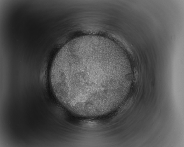 X0000087530498200705181033