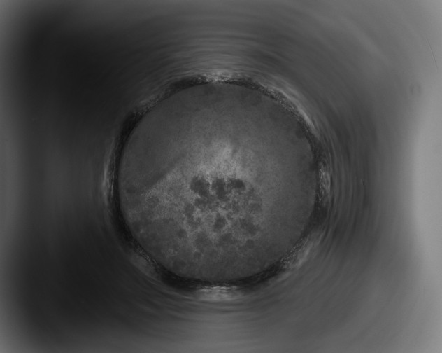 X0000087530499200705181033