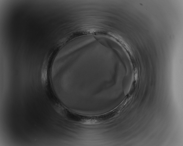 X0000087530500200705181033