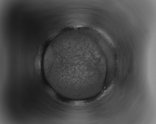 X0000087530501200705181033