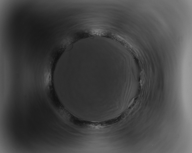 X0000087530502200705181033