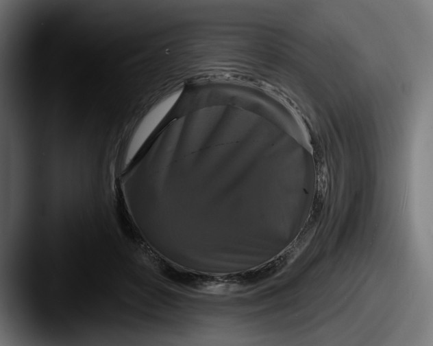X0000087530504200705181033