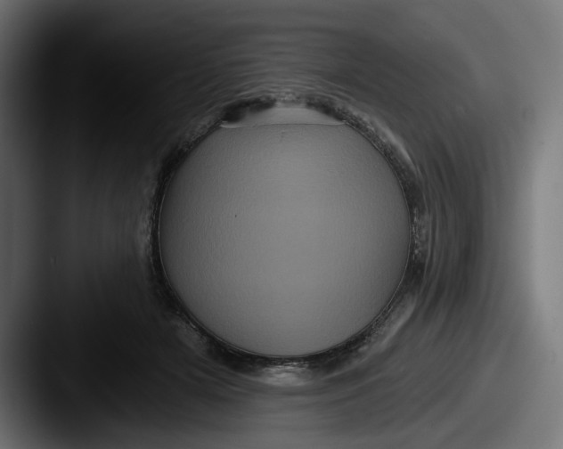 X0000087530505200705181033