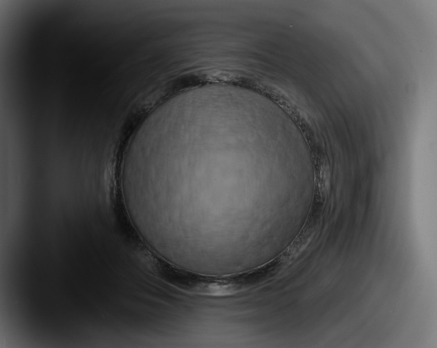 X0000087530506200705181033