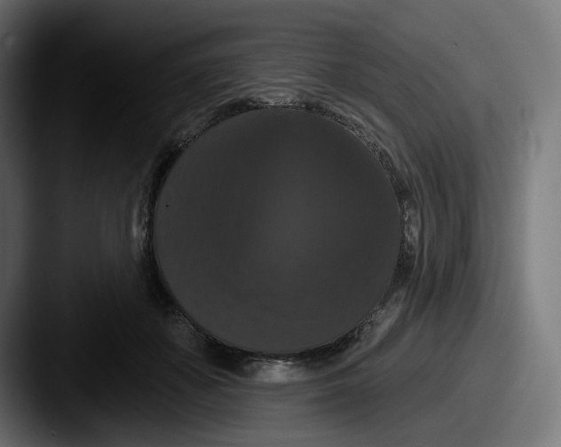X0000087530507200705181033