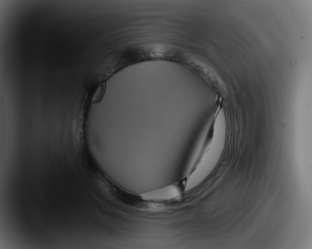 X0000087530509200705181033