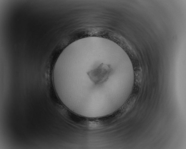 X0000087530510200705181033