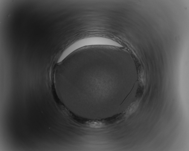 X0000087530512200705181033