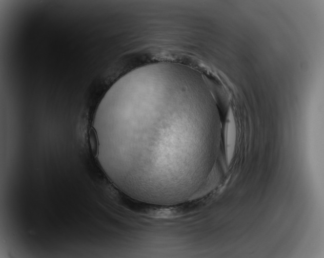 X0000087530513200705181033