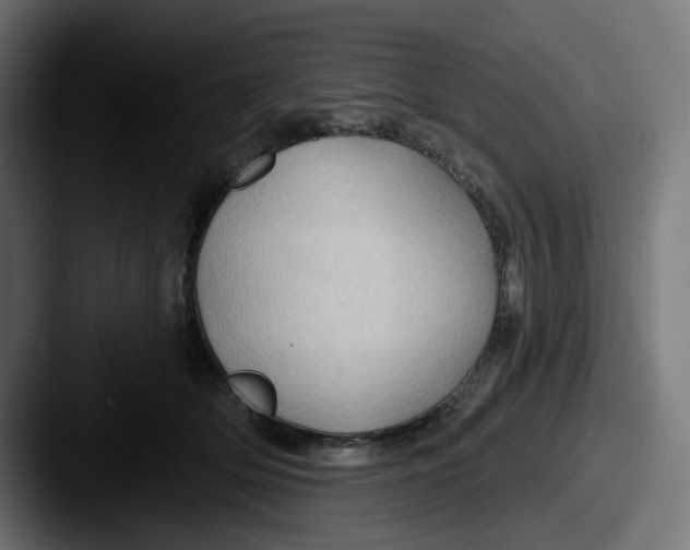 X0000087530514200705181033
