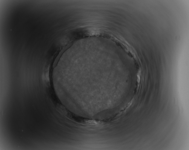 X0000087530516200705181033