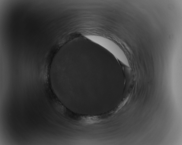 X0000087530517200705181033