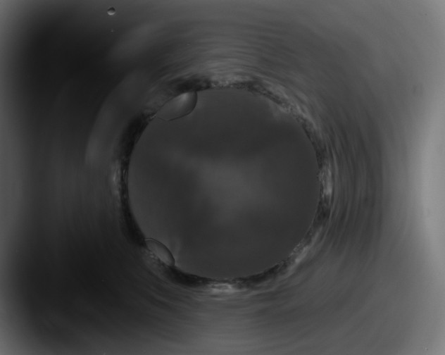 X0000087530519200705181033
