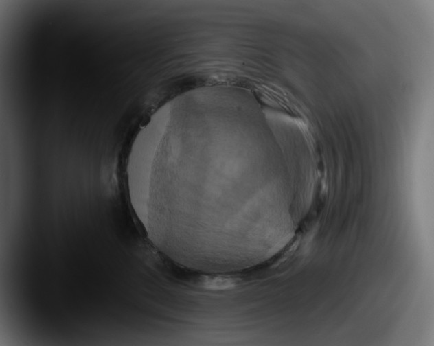 X0000087530520200705181033