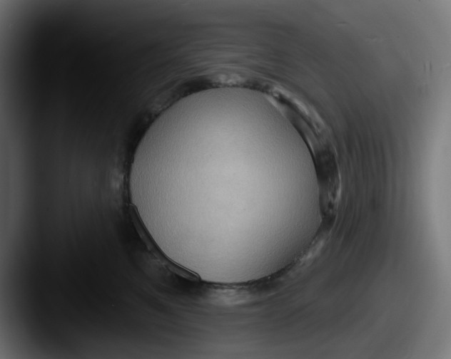 X0000087530521200705181033