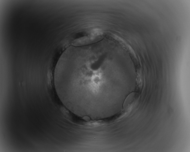 X0000087530523200705181033