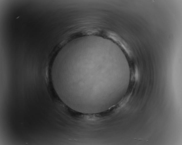 X0000087530524200705181033