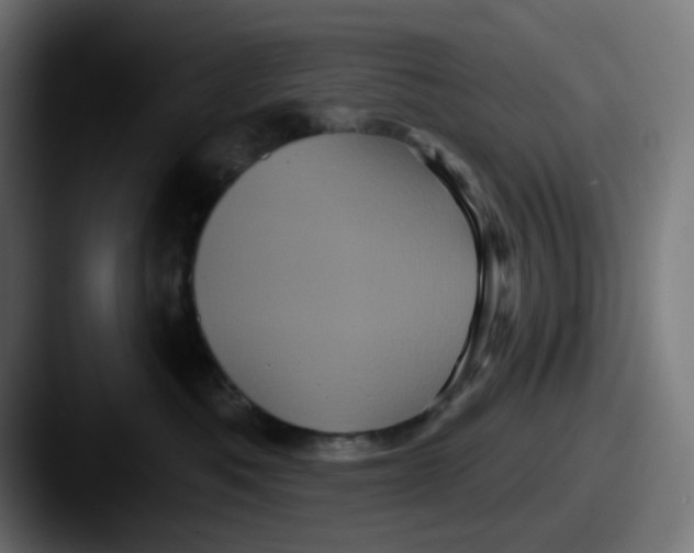 X0000087530525200705181033