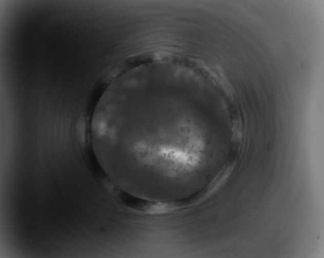 X0000087530527200705181033