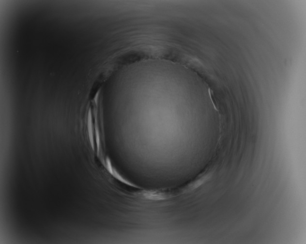 X0000087530528200705181033