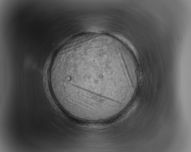 X0000087530529200705181032
