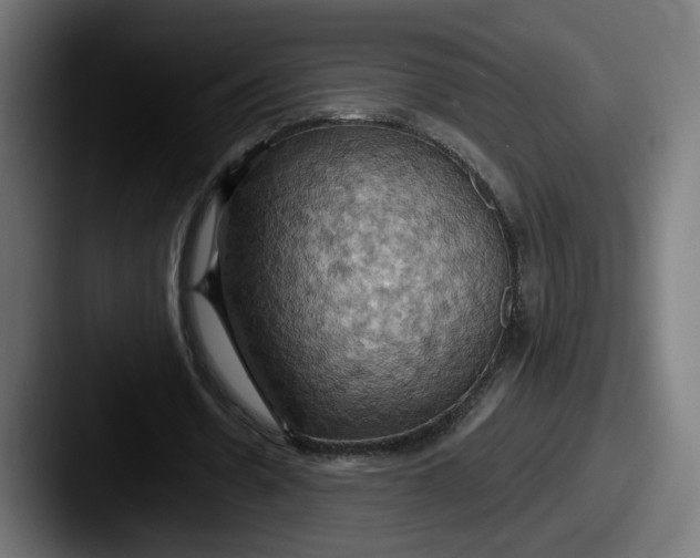X0000087530530200705181032
