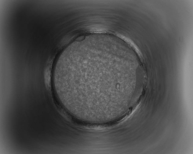 X0000087530533200705181032