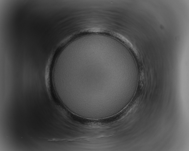 X0000087530535200705181032