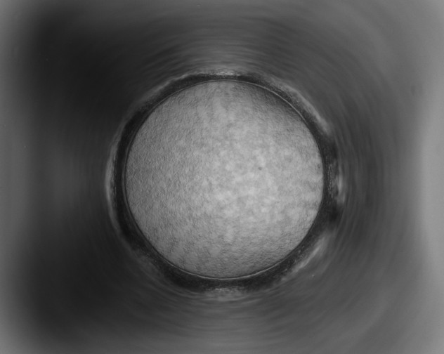 X0000087530536200705181032