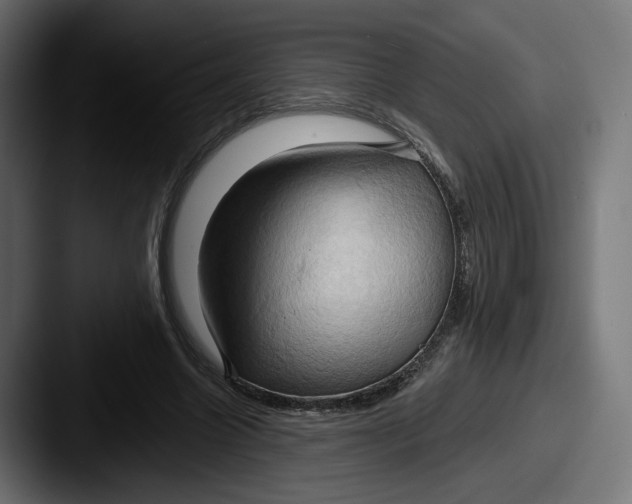 X0000087530538200705181032