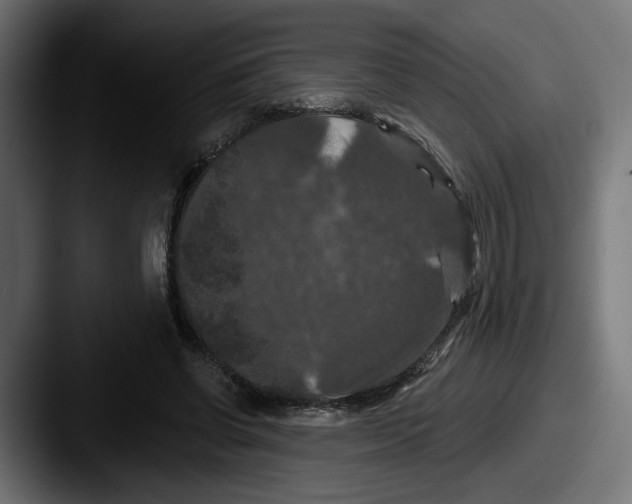 X0000087530542200705181032
