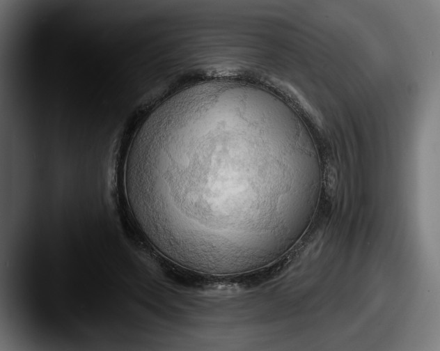 X0000087530543200705181032