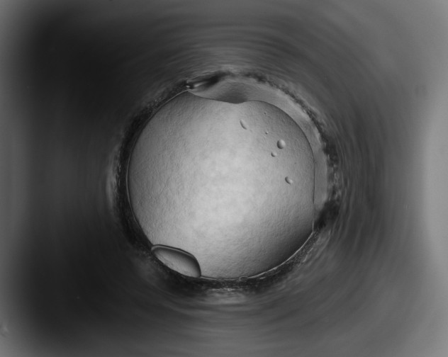 X0000087530544200705181032