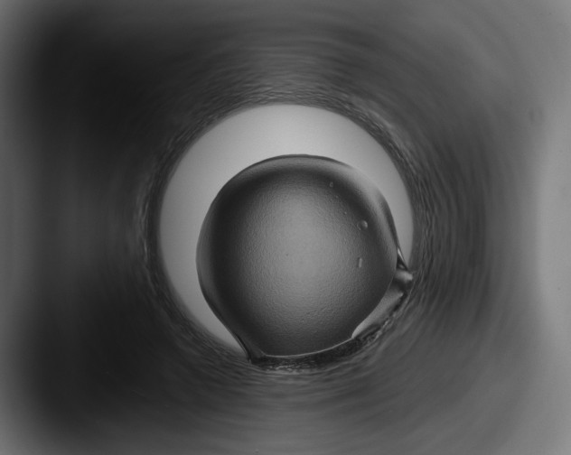 X0000087530546200705181032