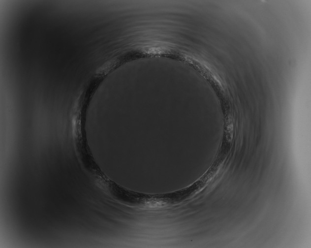 X0000087530547200705181032