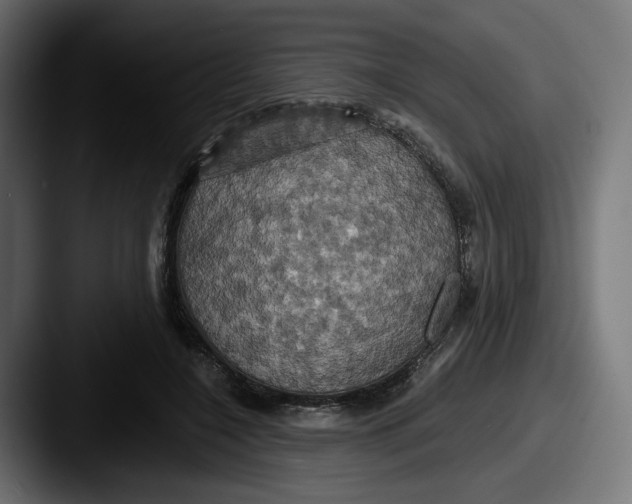 X0000087530548200705181032