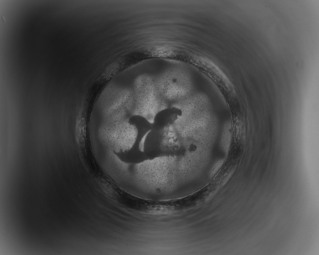 X0000087530549200705181032