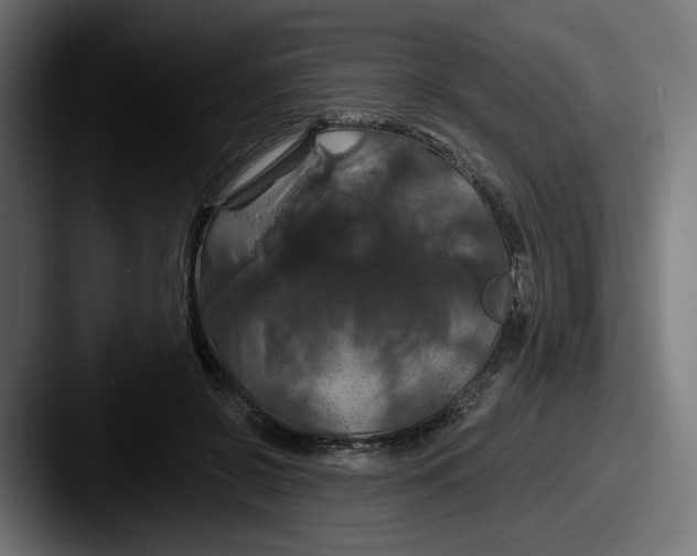 X0000087530550200705181032