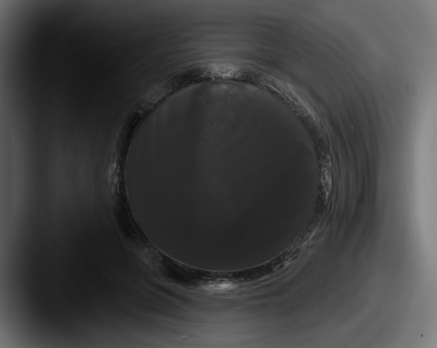 X0000087530551200705181032
