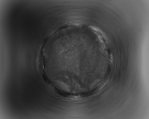 X0000087530552200705181032