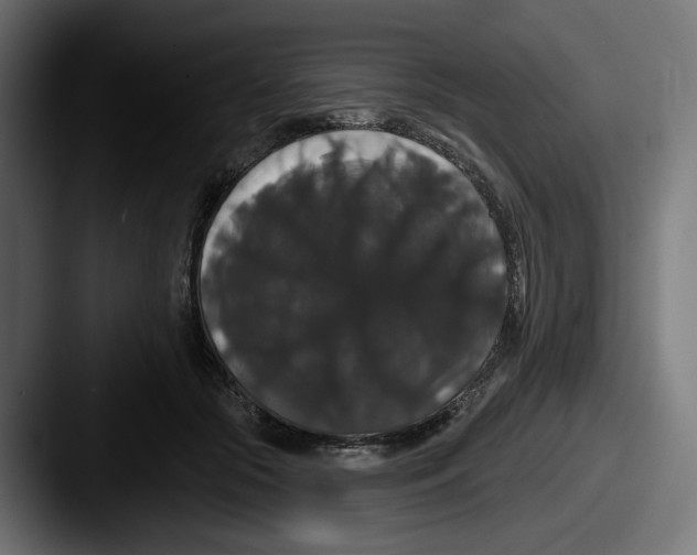 X0000087530553200705181032