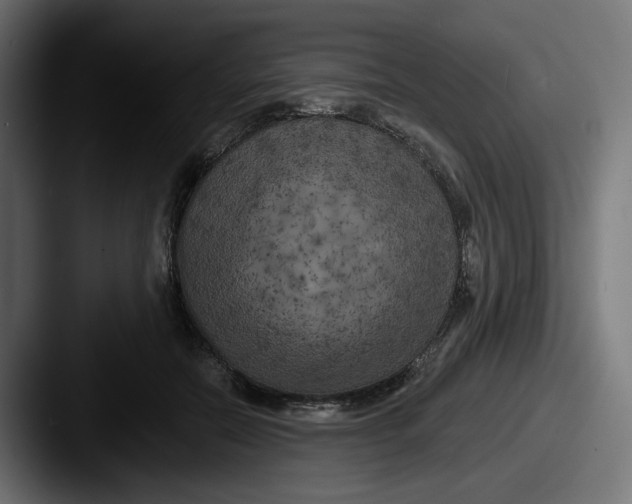 X0000087530554200705181032