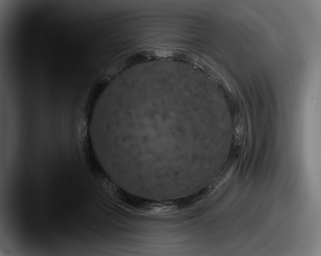 X0000087530555200705181032